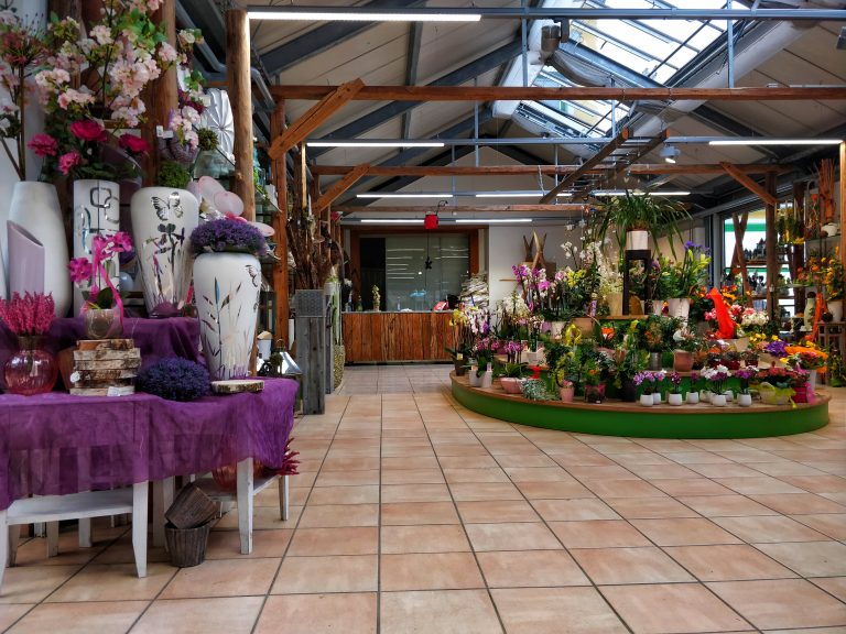 Standort Innen Scharnstein Blumen Strasser