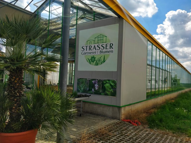 Gärtnerei in Pettenbach Glashaus von vorne rechts Blumen Strasser.