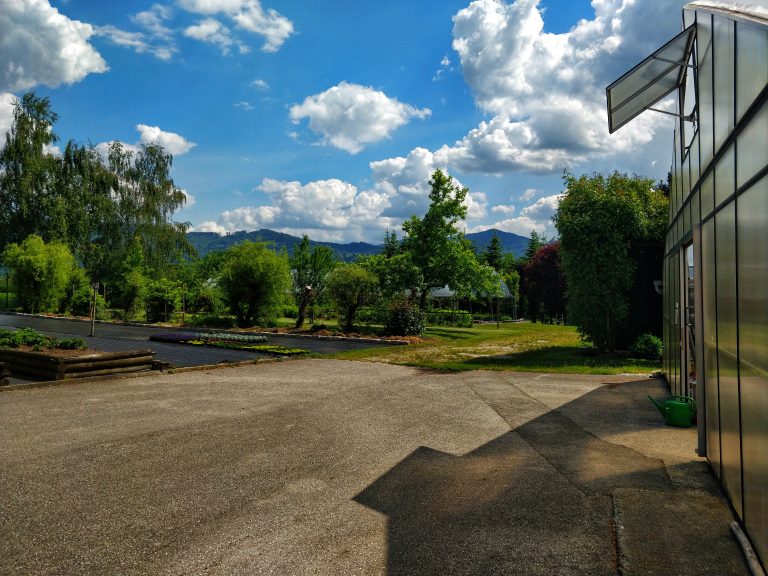 Gärtnerei in Pettenbach zu sehen sind Bäume und im Hintergrund und vorne rechts ein Planenhaus.